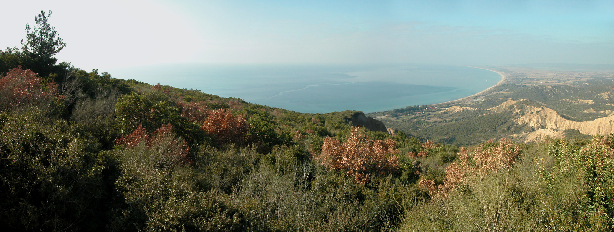 panorama