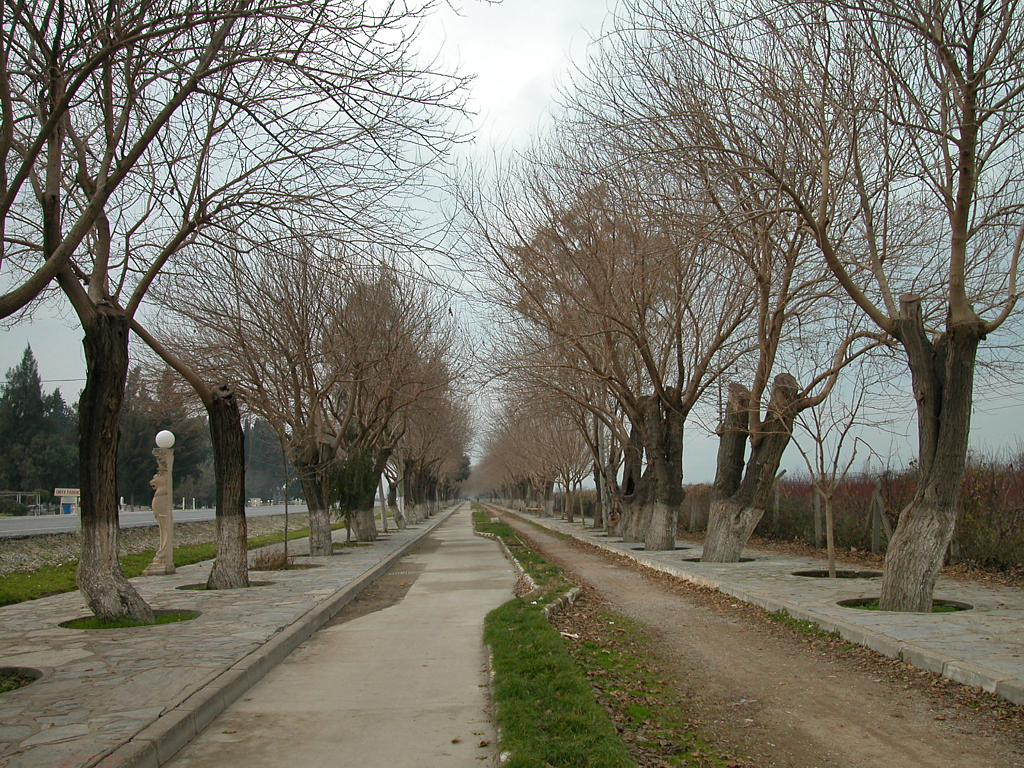 Selcuk1