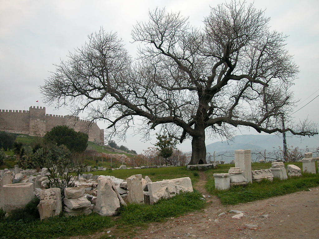 Selcuk5