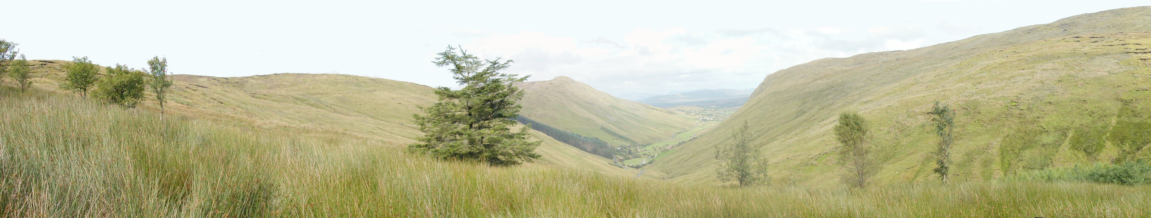 panorama