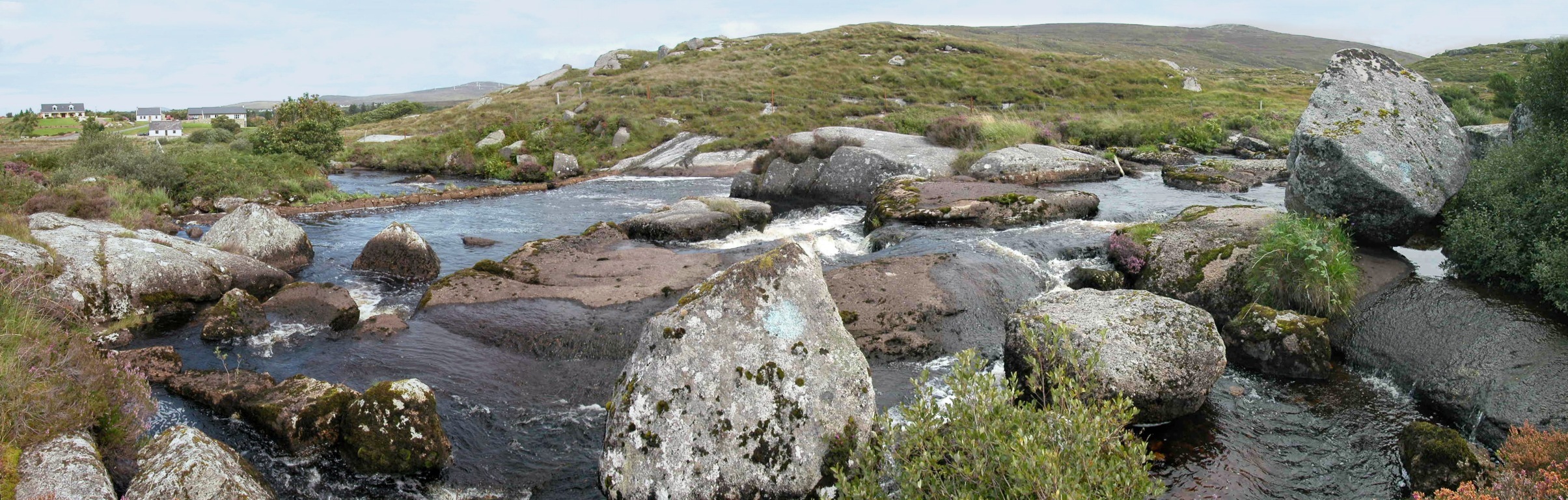 panorama