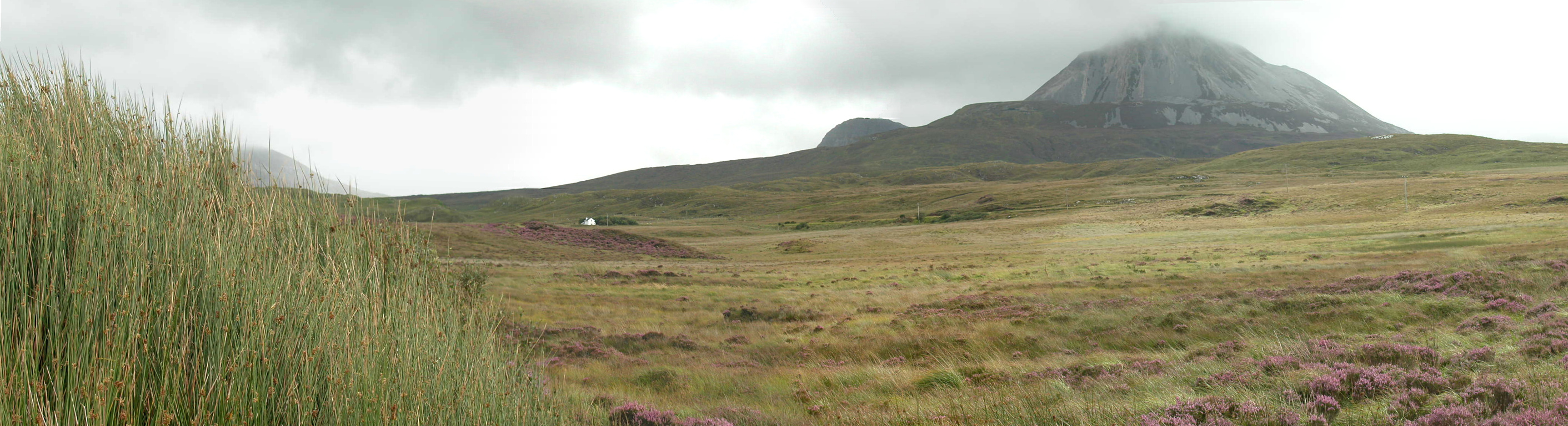 panorama